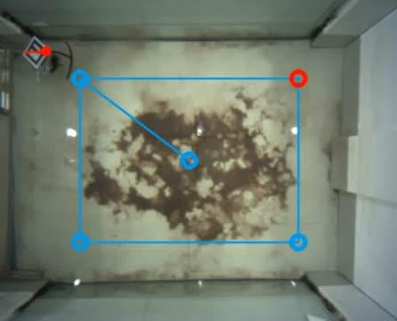 Parasitic Robot Attached to Turtle