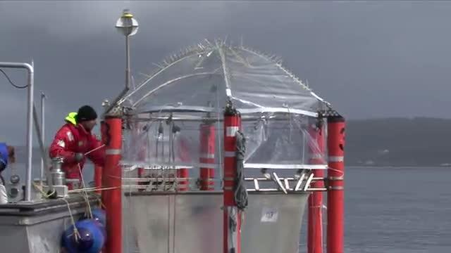 KOSMOS 2011 Raunefjord