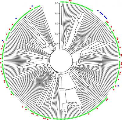 Why Some Pathogens Simply Can't Live Without Their Plants (6 of 6)