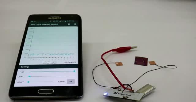 The Detector in Action