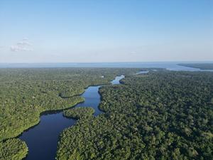 Caxiuanã National Forest, Brazil