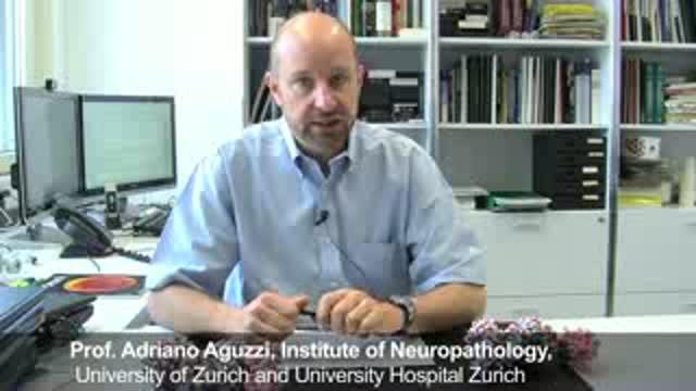 The Flexible Tail of the Prion Protein Poisons Brain Cells