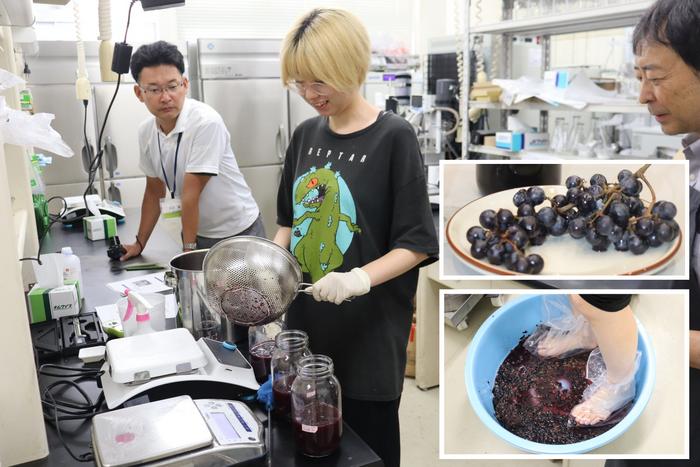 Making Wine with Muscat Shiragai Grapes