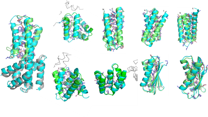 USTC Researchers Develop a Method Named SCUBA for Protein Design