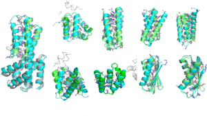 USTC Researchers Develop a Method Named SCUBA for Protein Design