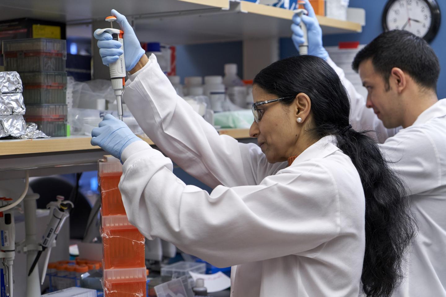 Houston Methodist Tests Antibody-Rich Blood Plasma of COVID-19 Patients