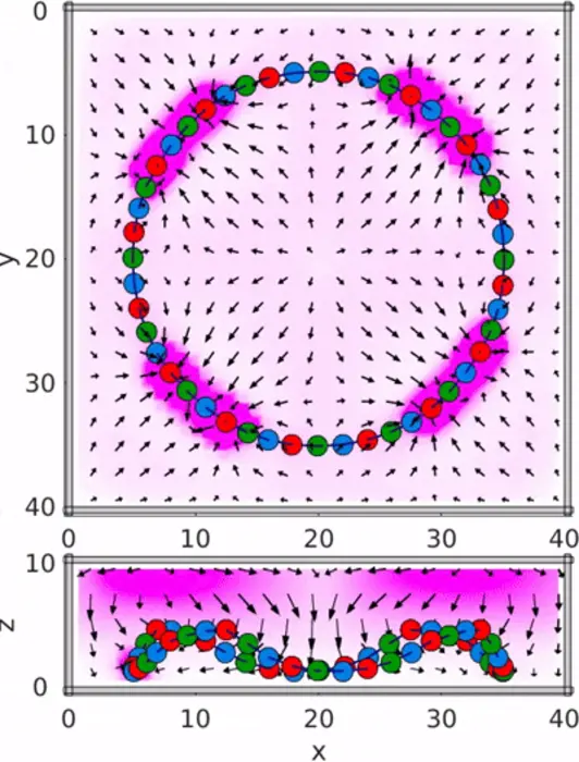 Circular network of beads