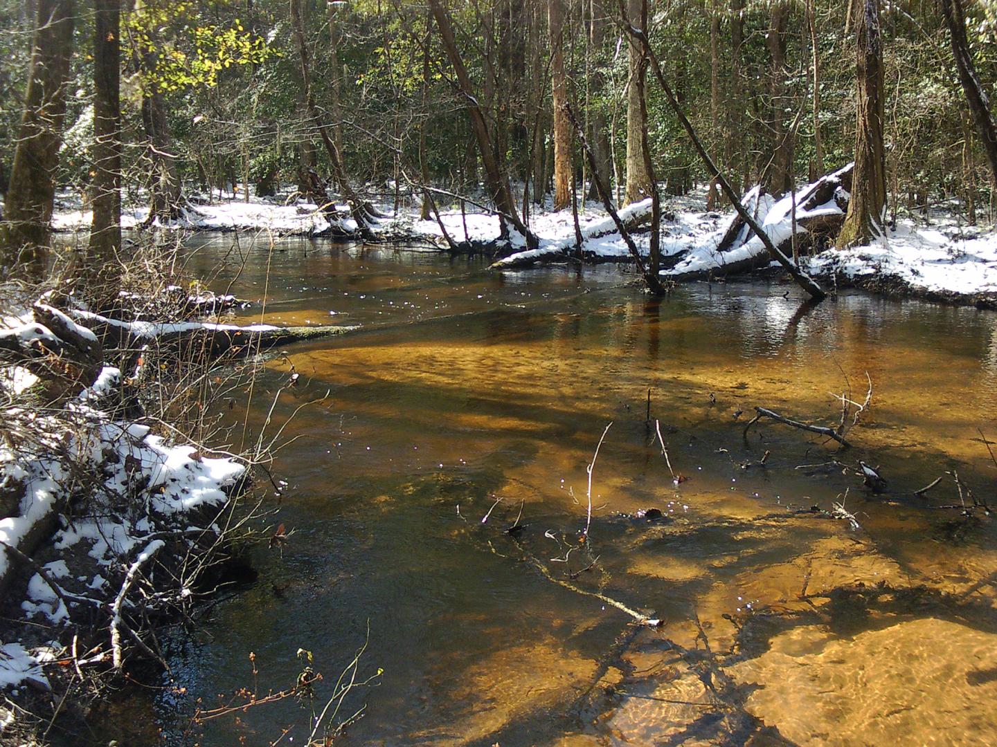 Tinker Creek