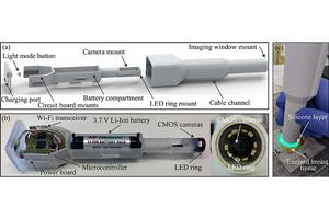 Wireless, hand-held probe that can differentiate between healthy and cancerous tissue