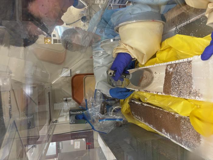 Concrete waste from nuclear sites could help lock away radioactive strontium for the long term