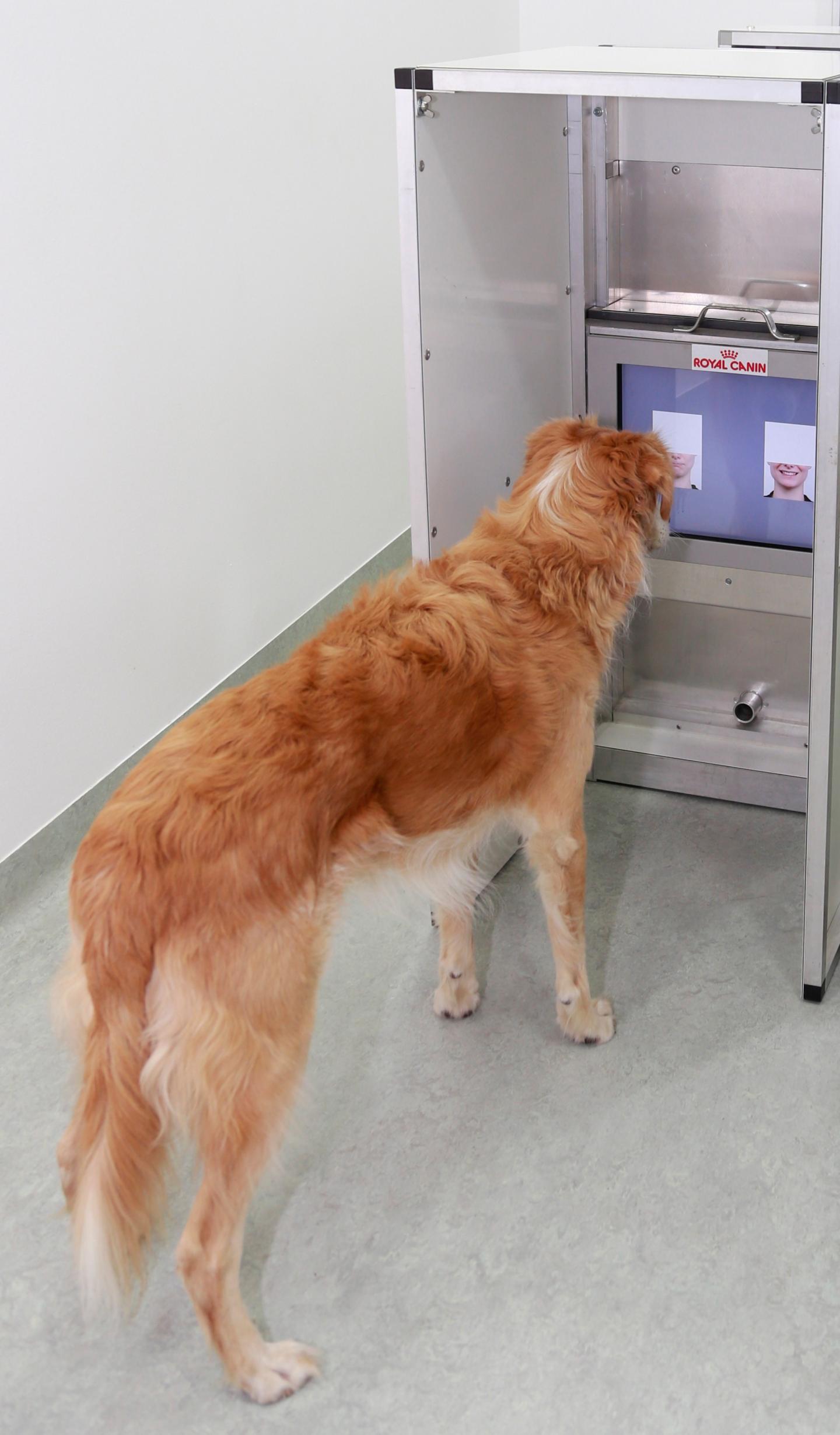 Experimental Apparatus