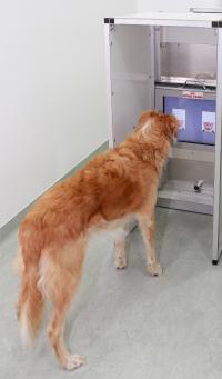 Experimental Apparatus