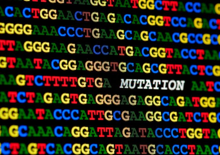 Single DNA mutation disrupts key tumour-suppressing pathways