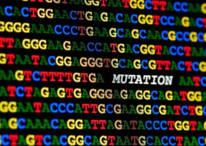 Single DNA mutation disrupts key tumour-suppressing pathways