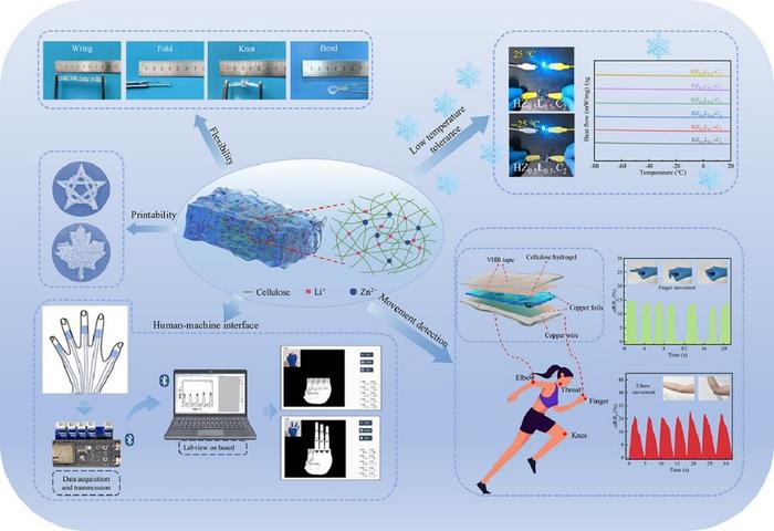 New 3D-Printable Cellulose Hydrogel Defies Freezing Temperatures for Wearable Sensors