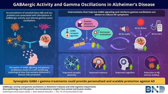 Conceptual model linking gamma-frequency neuromodulation to network function in Alzheimer’s Disease