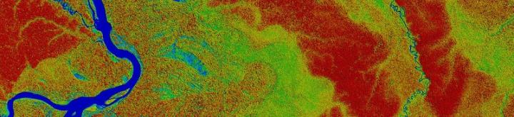 Canopy Height in Peru