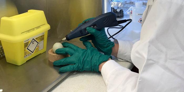 Adding chemicals to the eggs was a delicate process