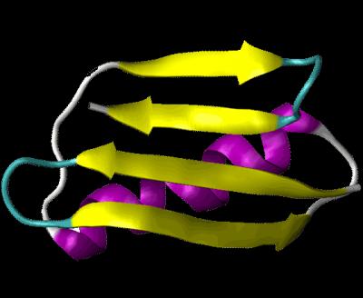A Protein