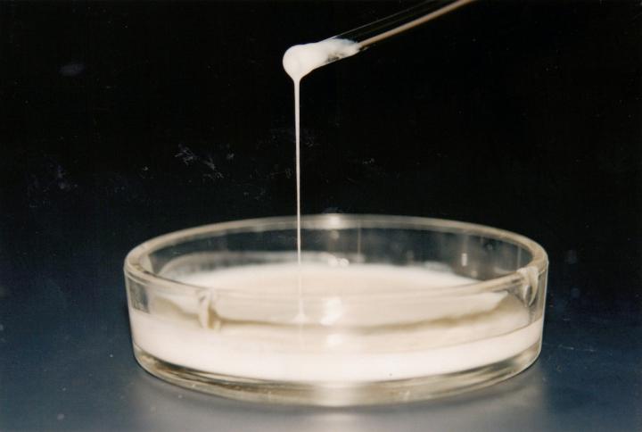 Dairy Thickener