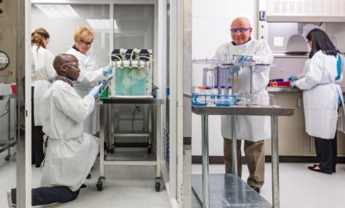 Working in the Lung Lab