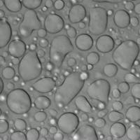 Liquid Phase Separation Research