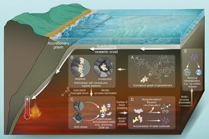 Coupling of abiotic and biotic processes in heated subseafloor
