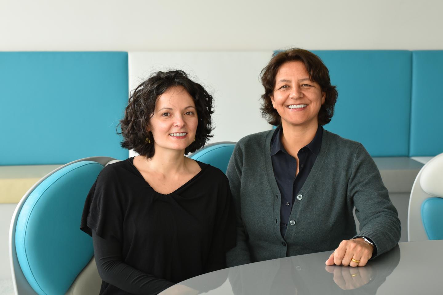 Sylvia Knapp and Simona Saluzzo, Austrian Academy of Sciences