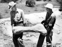 WPA Workers with Fossil