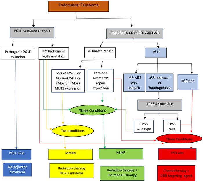 Endometrial carcinosarcoma with multi-classifier molecular signature (MMRd-p53abn): A case report
