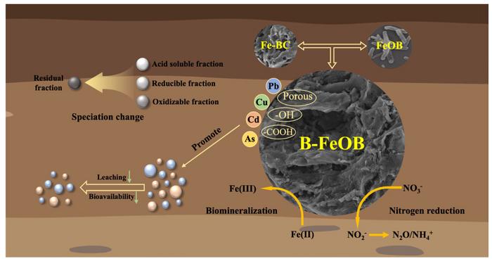 Synergistic multi-metal stabilization of lead–zinc smelting contaminated soil by Ochrobactrum EEELCW01-loaded iron-modified biochar: performance and long-term efficacy