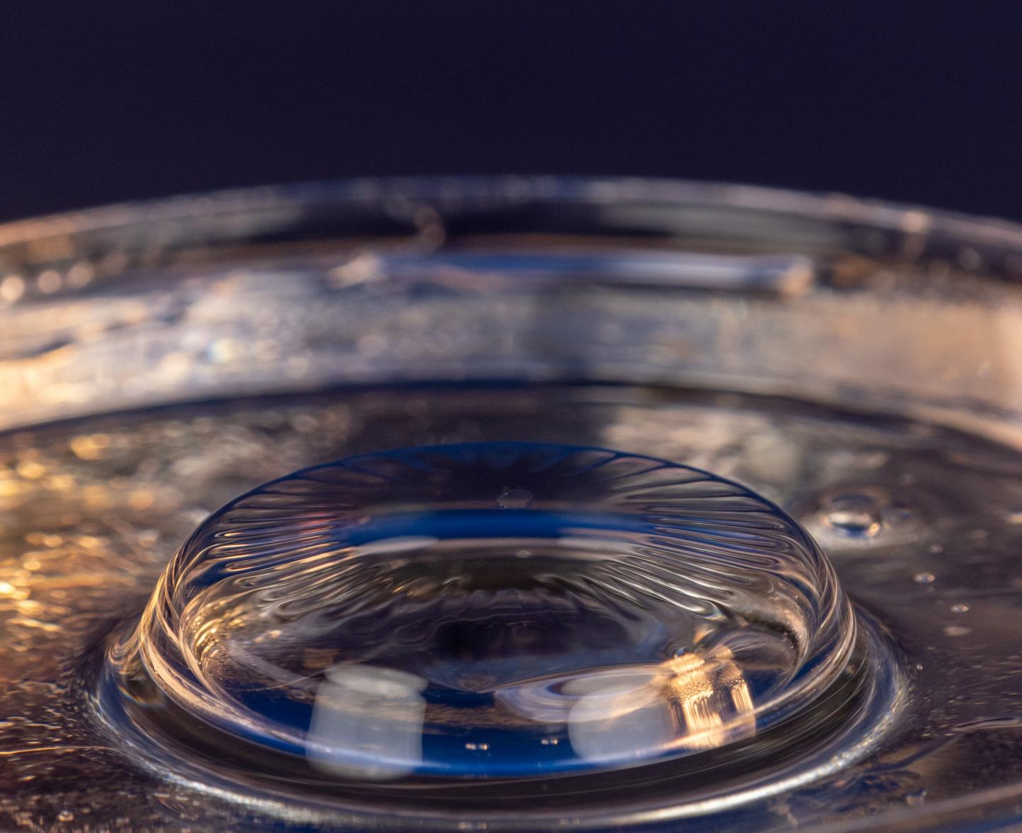 Surface Tension, Not Gravity, Drives Viscous Bubble Collapse (3 of 9)