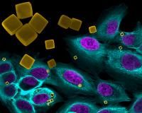 BioArt Winner 2015 Alexander