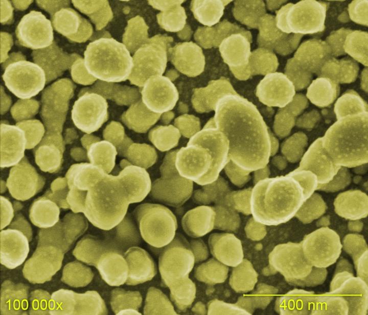 The Microscopic image of the SERSitive Substrate, False Colors