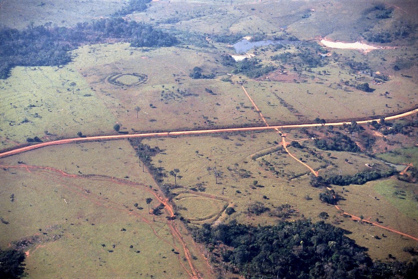 Earthworks in Amazonia