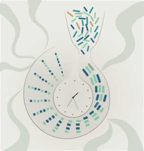 Many human genomes shaped by past events that caused sharp dips in the population