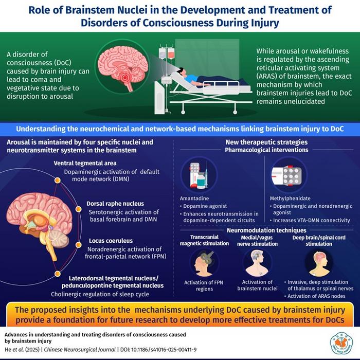 Role of brainstem nuclei in the development of disorders of consciousness (DoC) during injury