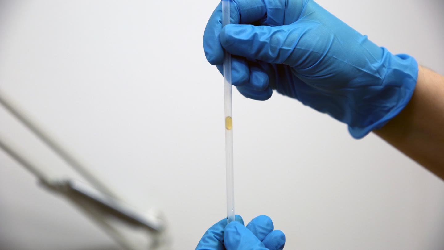 Honey In A Tube