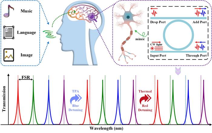 Schematic of the multi-wavelength photonic spiking neuron based on microring resonators