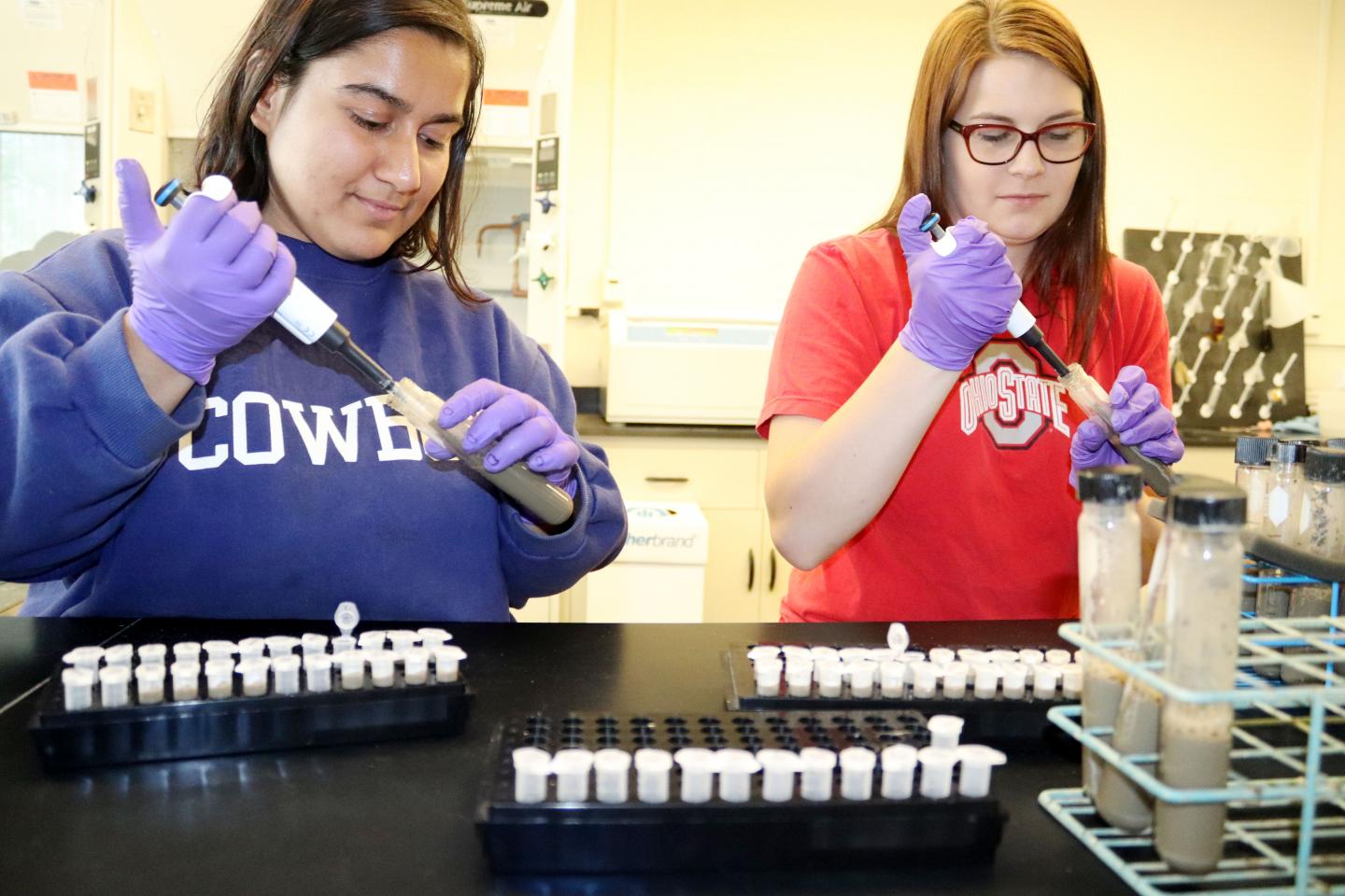 Lab Technicians and Samples