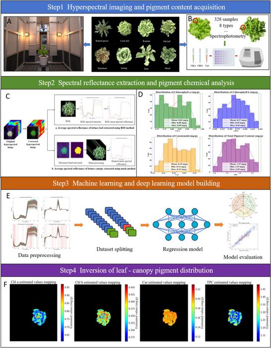 Figure 1. Overall framework of the experiment.