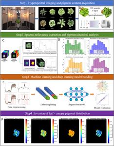 Figure 1. Overall framework of the experiment.