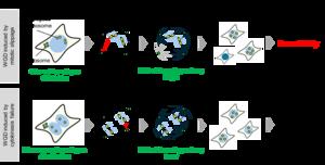 Visual summary of chromosome distribution failures and survival outcomes