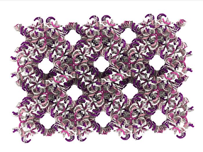 Complex DNA architectures