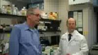 Developing Drugs that Protect Against Radiation