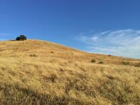 Disappearing Moisture
