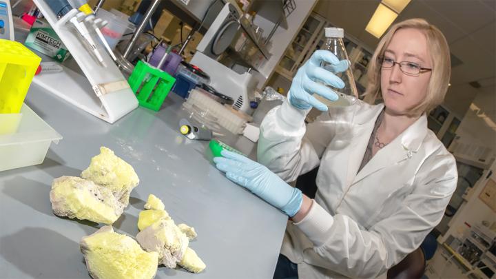 Epigenetic Discovery