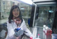 Yoana Arroyo-Berdugo, UPV/EHU