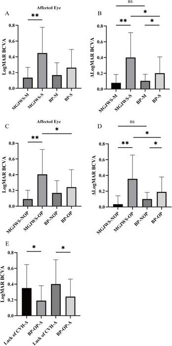 The impact of various factors on BCVA in MGJWS and BP patients