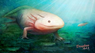Salamanders Served as Hosts